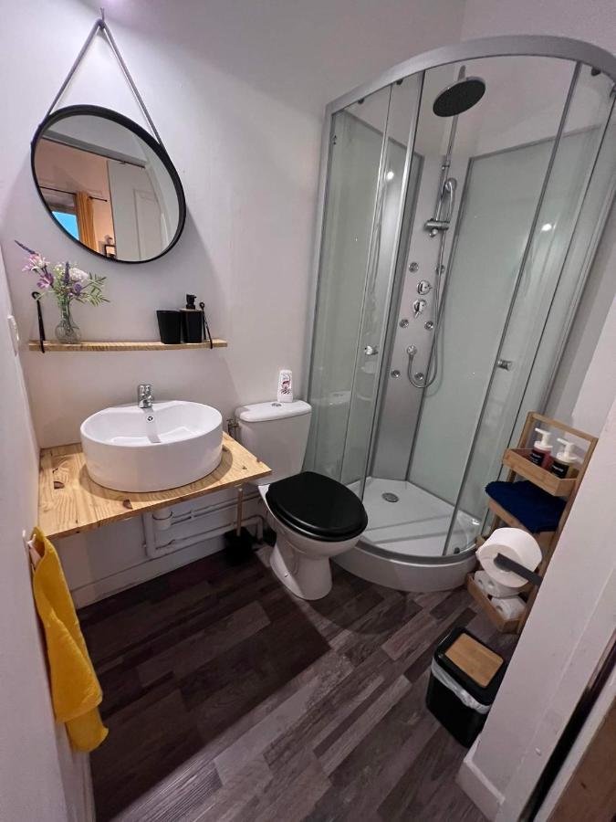 Charmant Appartement Climatise Aux Pieds De La Cite Каркассон Экстерьер фото